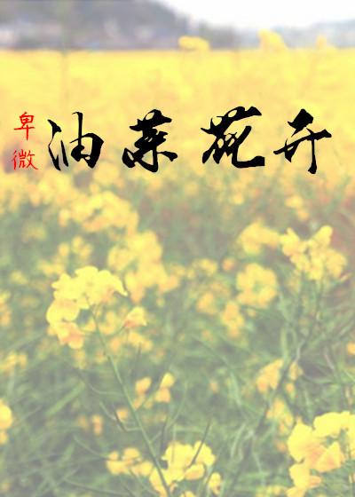 卑微:油菜花开