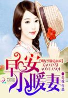 早安小暖妻:明星男神追回家