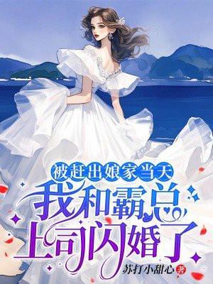 被赶出娘家当天,我和霸总上司闪婚了