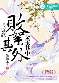 败絮其外,金玉其中