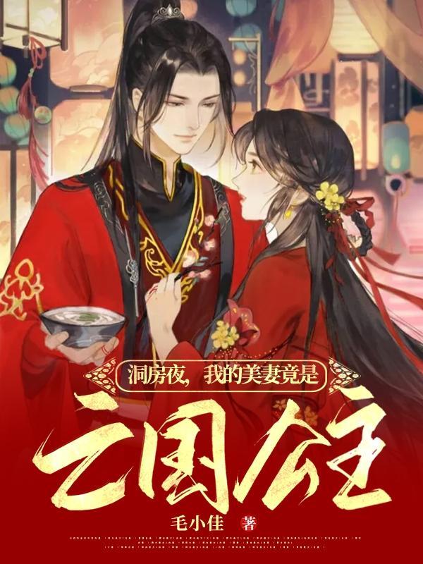 洞房夜,我的美妻竟是亡国公主