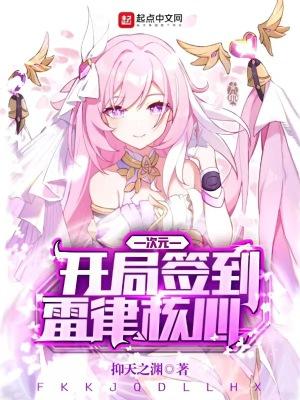 次元:开局签到雷律核心