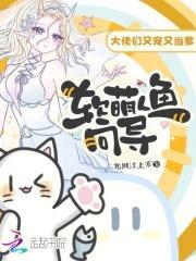 软萌人鱼向导,大佬们又宠又当爹