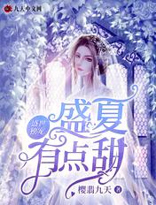 盛世独宠:盛夏有点甜