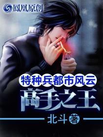 特种兵都市风云:高手