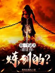 你一个武夫,谁让你炼剑的?