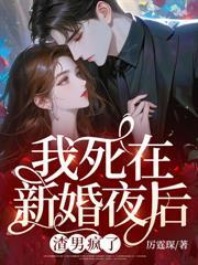 沈老师娇娇入怀,季总他肆意沦陷