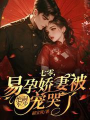 重生七零锦绣年华