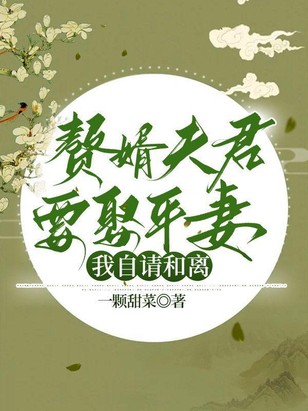 赘婿夫君要娶平妻,我自请和离
