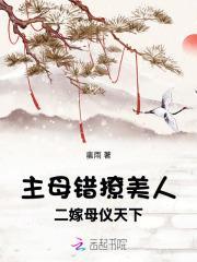 主母错撩美人,二嫁母仪天下
