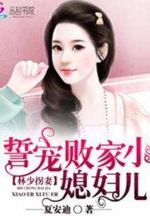 林少拐妻:誓宠败家小媳妇儿